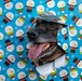 Season’s greetings from Andrews’ military working dogs