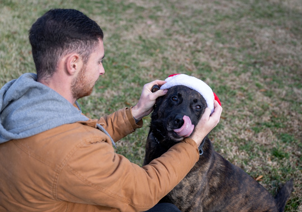 Season’s greetings from Andrews’ military working dogs