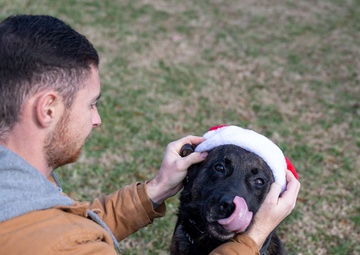 Season’s greetings from Andrews’ military working dogs
