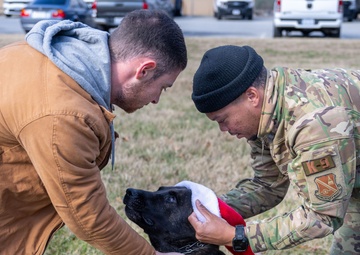 Season’s greetings from Andrews’ military working dogs