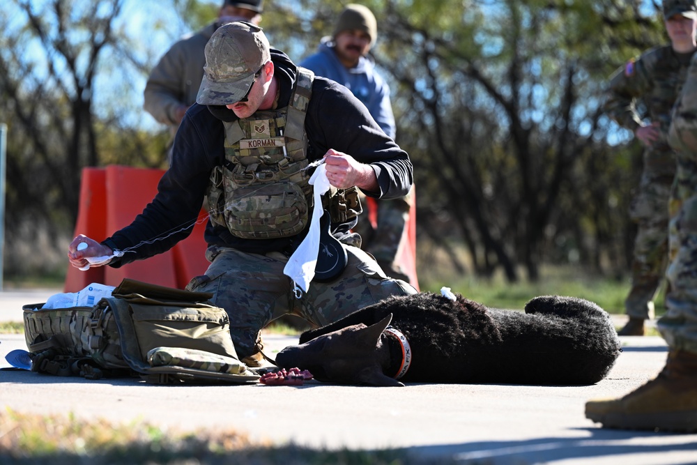 Dyess AFB hosts joint K-9 medical training