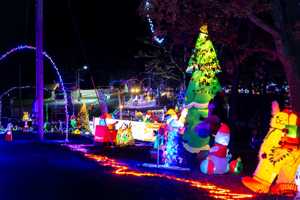 Light Up the Lake: How local business leaders turned a tiny section of Pomme de Terre Lake into a winter wonderland