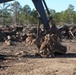 Hurricane Helene Recovery: Temporary Debris Management Site in McIntosh County, Georgia.