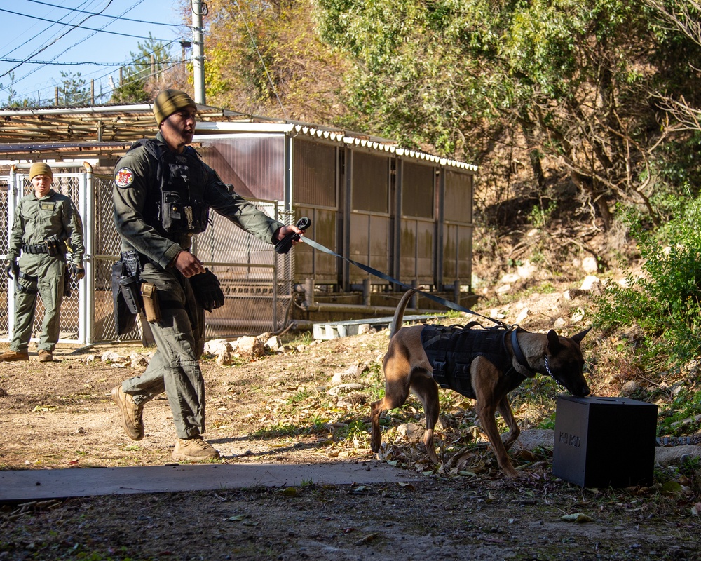 MCAS Iwakuni military working dog handlers train at JMSDF Kure Naval Base, Japan