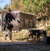 MCAS Iwakuni military working dog handlers train at JMSDF Kure Naval Base, Japan