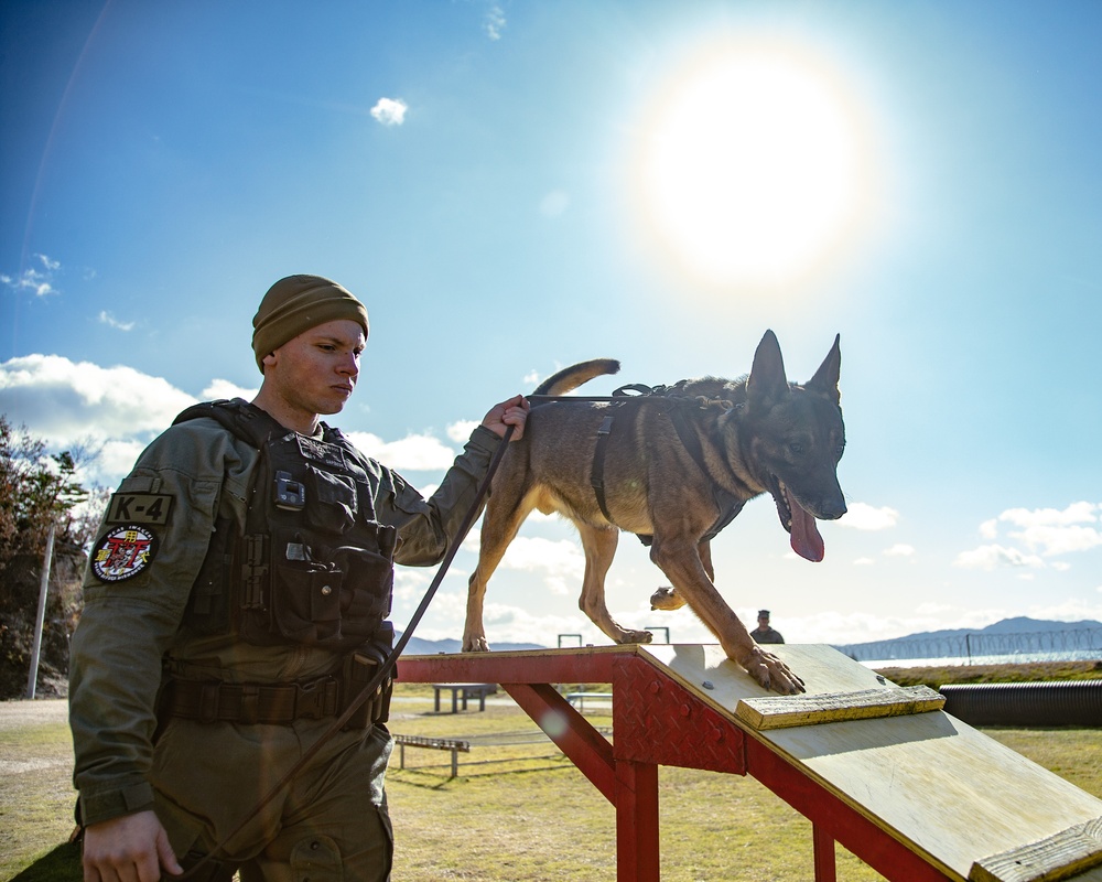 MCAS Iwakuni military working dog handlers train at JMSDF Kure Naval Base, Japan
