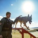 MCAS Iwakuni military working dog handlers train at JMSDF Kure Naval Base, Japan