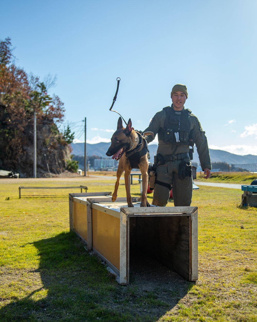 MCAS Iwakuni military working dog handlers train at JMSDF Kure Naval Base, Japan