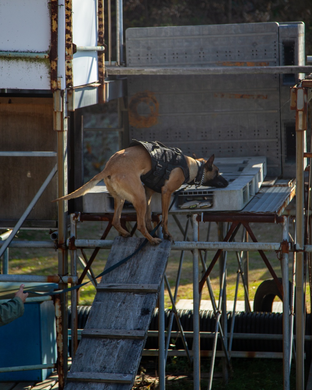 MCAS Iwakuni military working dog handlers train at JMSDF Kure Naval Base, Japan