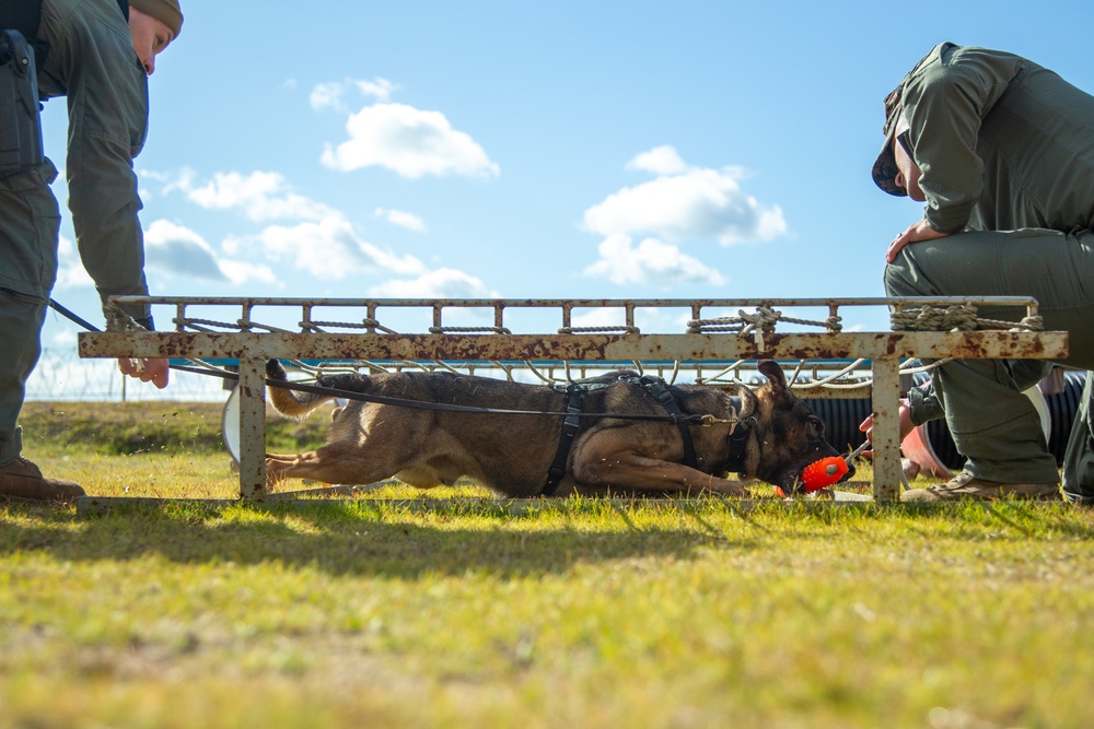 MCAS Iwakuni military working dog handlers train at JMSDF Kure Naval Base, Japan