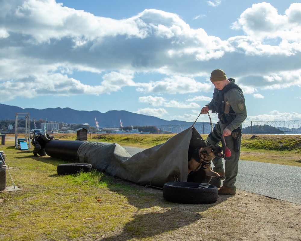 MCAS Iwakuni military working dog handlers train at JMSDF Kure Naval Base, Japan