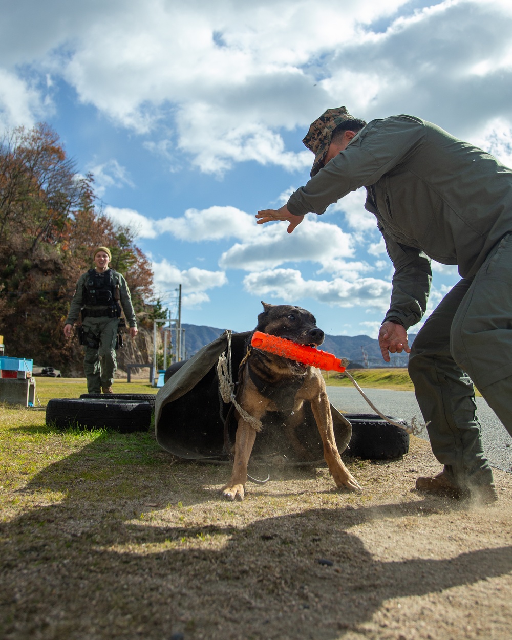 MCAS Iwakuni military working dog handlers train at JMSDF Kure Naval Base, Japan