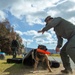 MCAS Iwakuni military working dog handlers train at JMSDF Kure Naval Base, Japan