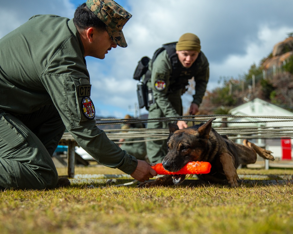 MCAS Iwakuni military working dog handlers train at JMSDF Kure Naval Base, Japan