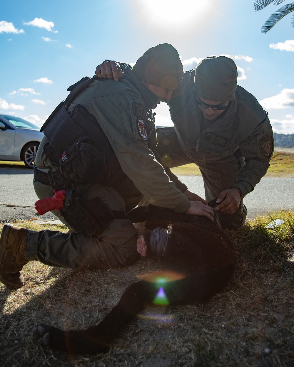 MCAS Iwakuni military working dog handlers train at JMSDF Kure Naval Base, Japan