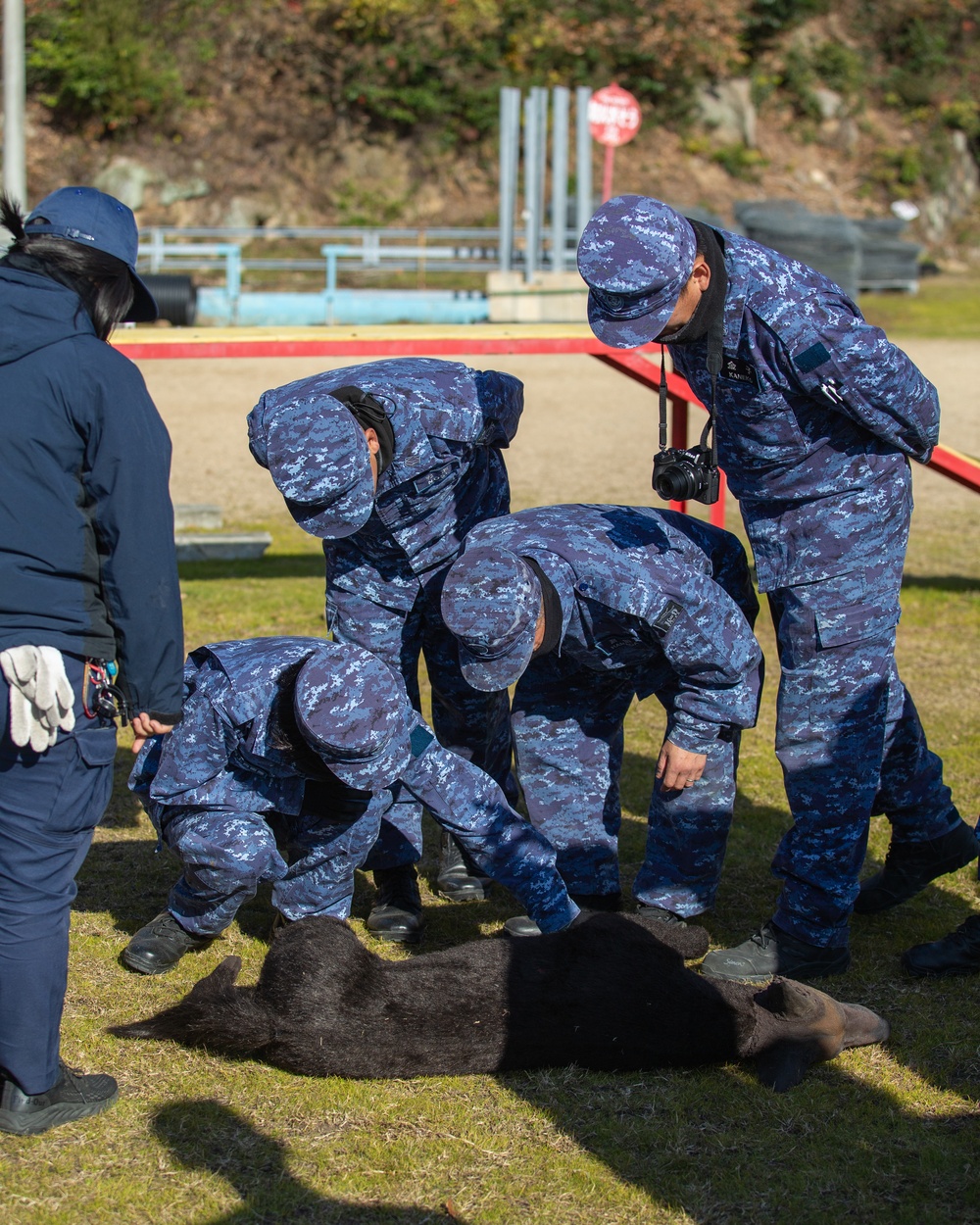 MCAS Iwakuni military working dog handlers train at JMSDF Kure Naval Base, Japan