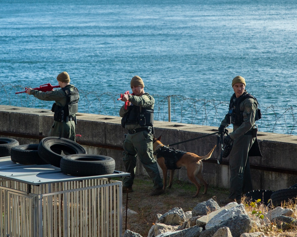 MCAS Iwakuni military working dog handlers train at JMSDF Kure Naval Base, Japan