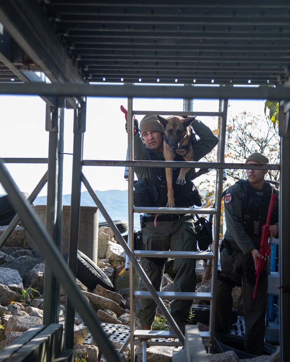 MCAS Iwakuni military working dog handlers train at JMSDF Kure Naval Base, Japan