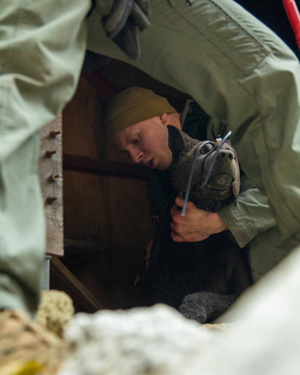 MCAS Iwakuni military working dog handlers train at JMSDF Kure Naval Base, Japan