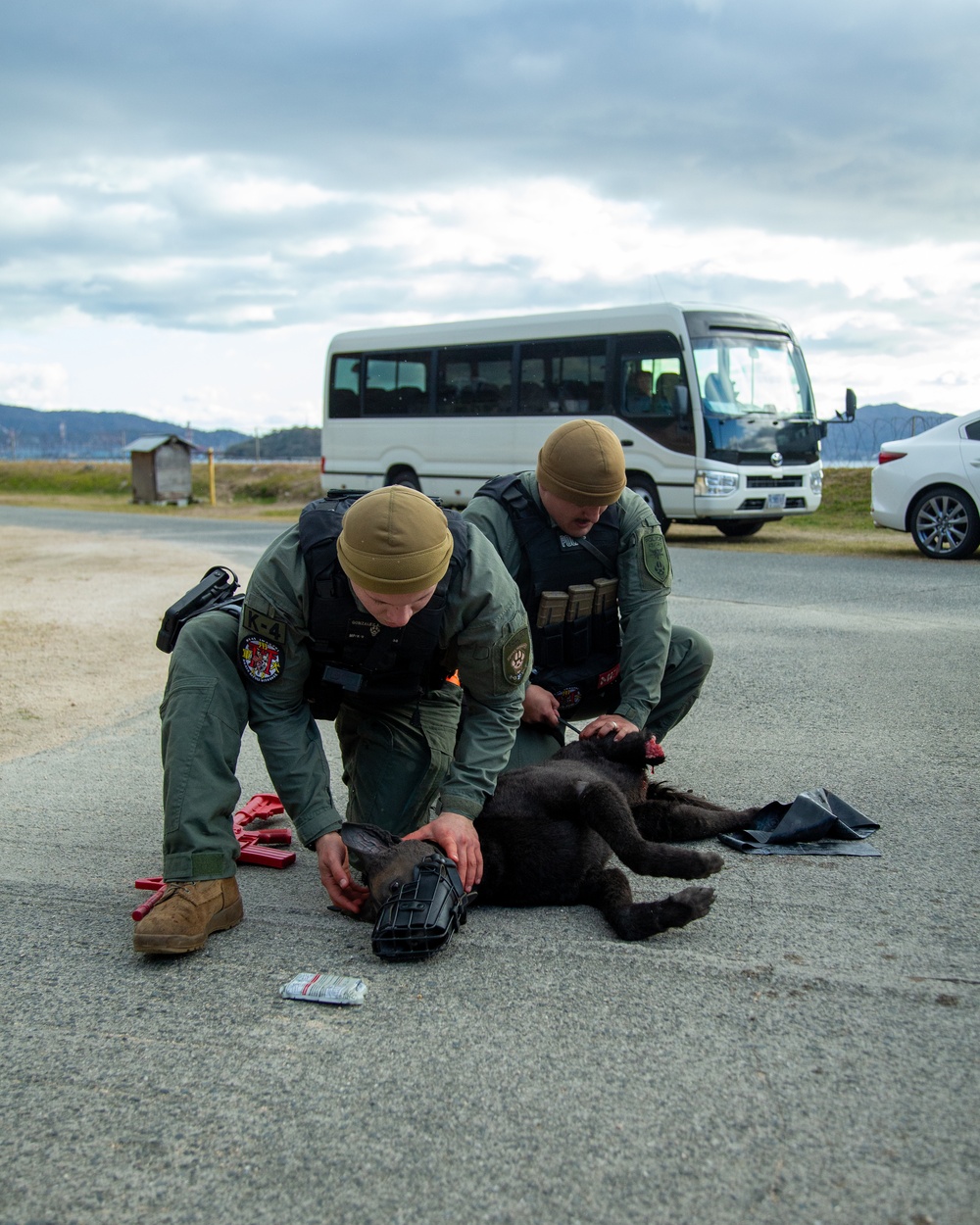 MCAS Iwakuni military working dog handlers train at JMSDF Kure Naval Base, Japan