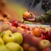 6th OMRS prevents FBIs during the holidays