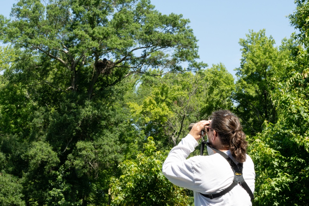 Aberdeen Proving Ground Eagle Program Series