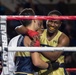 USNA Brigade Boxing