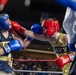 USNA Brigade Boxing