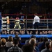 USNA Brigade Boxing