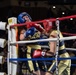 USNA Brigade Boxing