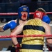 USNA Brigade Boxing