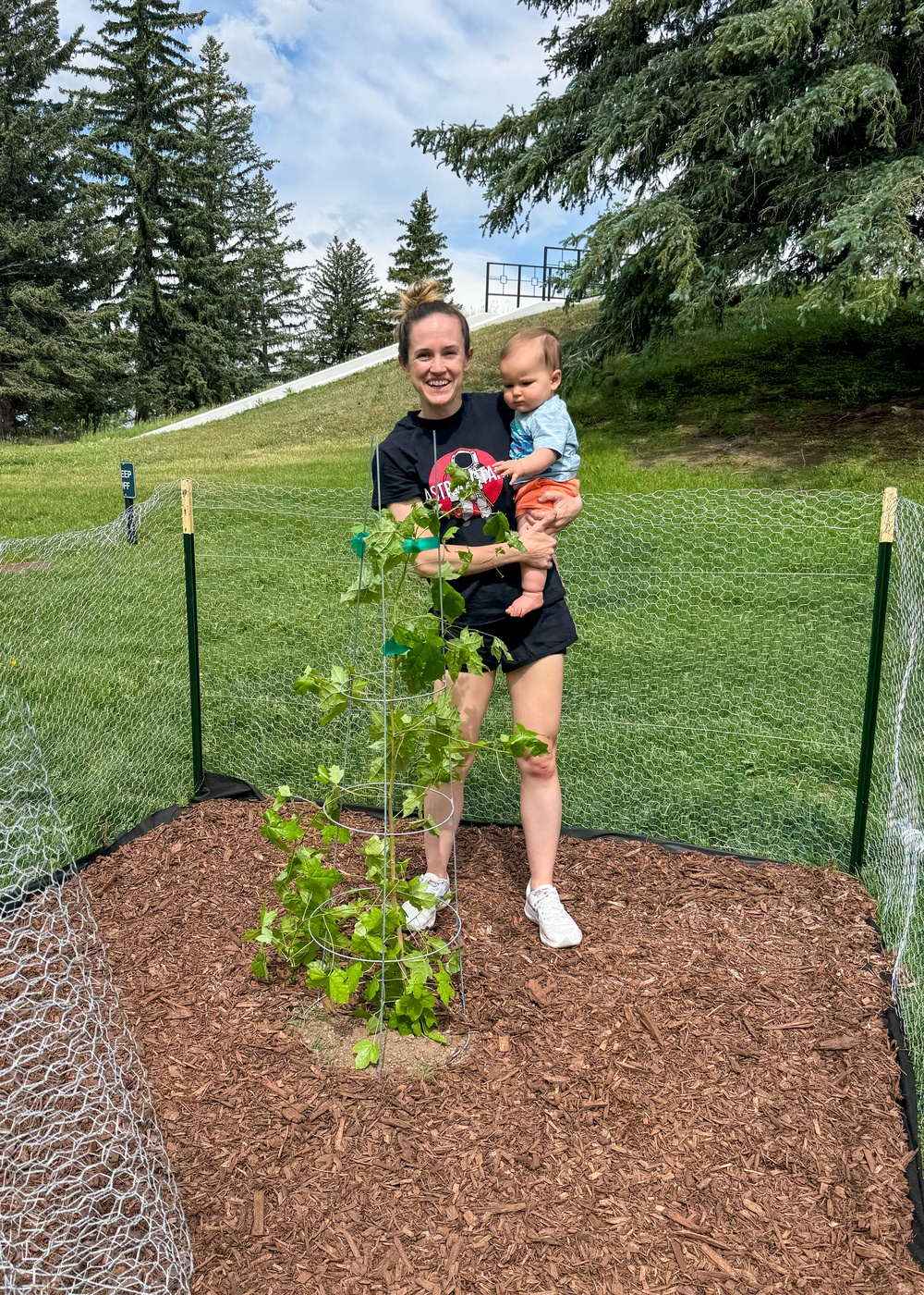 Artemis Moon Tree Finds Home at USAFA Through STARCOM Partnership