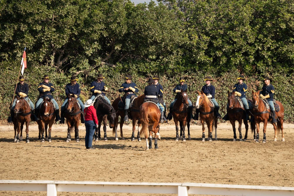 1CD HCD Tournament of Roses - Equestfest