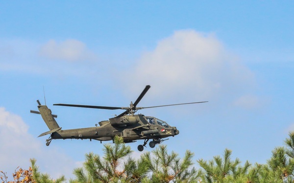 RFLC - Aerial Gunnery