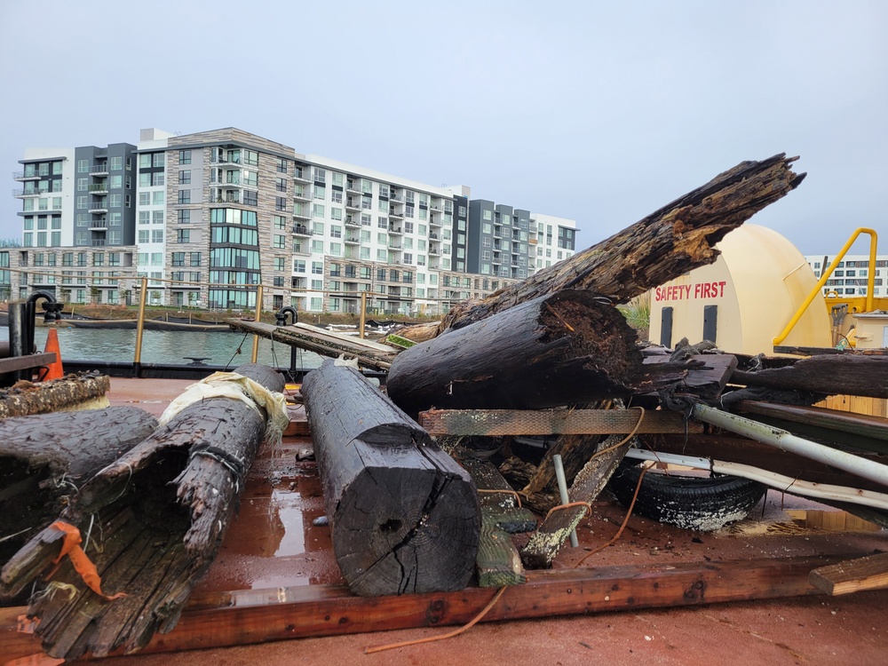 Raccoon crew removes hazards in Oakland