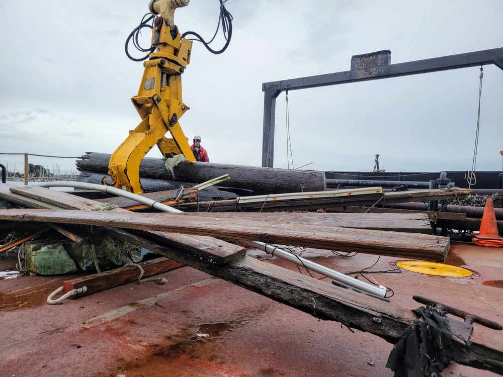 Raccoon crew removes hazards in Oakland