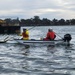 Raccoon crew removes hazards in Oakland