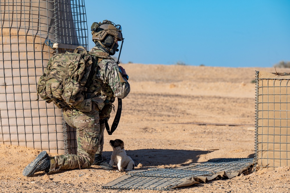Pararescuemen Perform an Isolated Personnel Recovery Exercise