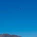 PACAF F-16 Demo Team participates in Warbirds over Wanaka 2024