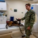 NAVY MEDICINE TREATS MILITARY WORKING DOG (MWD)