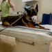 NAVY MEDICINE TREATS MILITARY WORKING DOG (MWD)