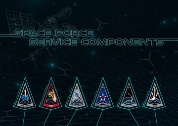 USSF Service Components Poster