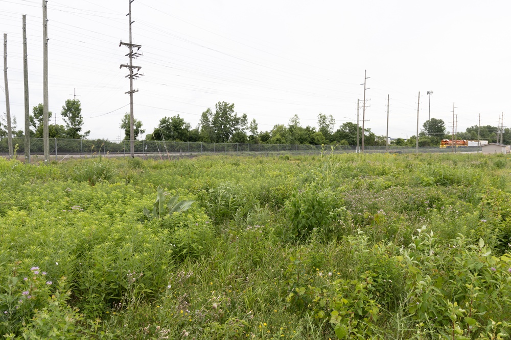 Butterfly count at Defense Supply Center Columbus’ north prairie