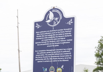 Butterfly counts underway at DSCC prairie