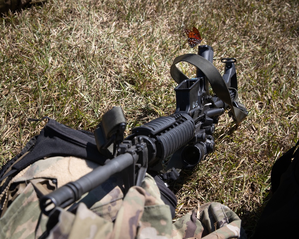 Butterflies hang out with Alabama Guardsmen