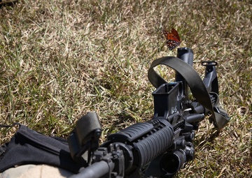 Butterflies hang out with Alabama Guardsmen