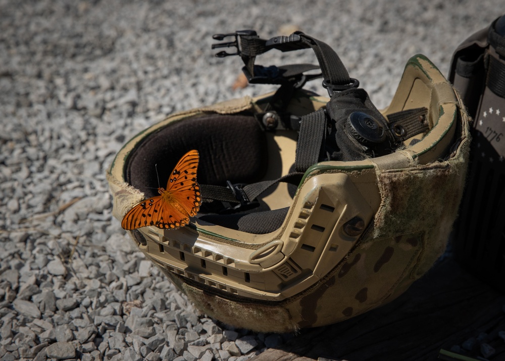 Butterflies hang out with Alabama Guardsmen
