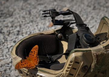 Butterflies hang out with Alabama Guardsmen