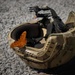 Butterflies hang out with Alabama Guardsmen