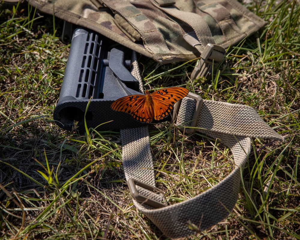 Butterflies hang out with Alabama Guardsmen